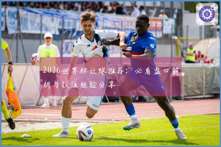 2026世界杯让球推荐：必看盘口解析与投注经验分享