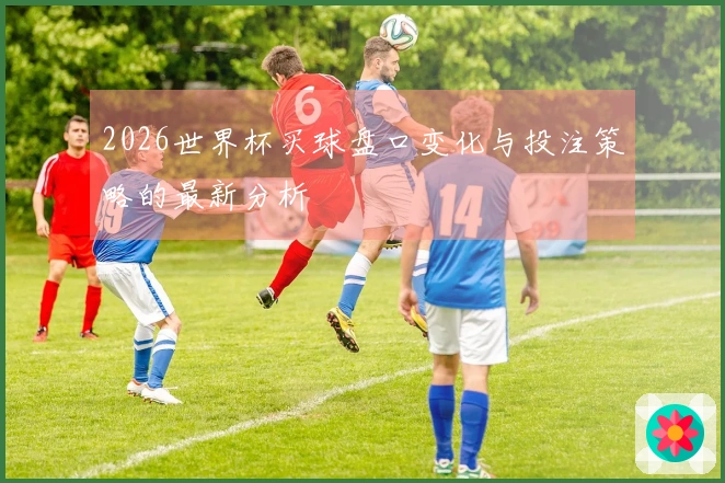 2026世界杯买球盘口变化与投注策略的最新分析