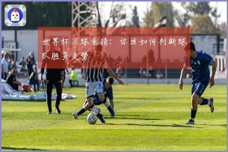 世界杯买球竞猜：你该如何判断球队胜负走势