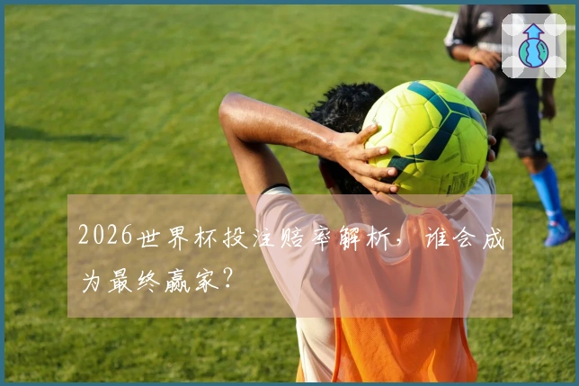 2026世界杯投注赔率解析，谁会成为最终赢家？