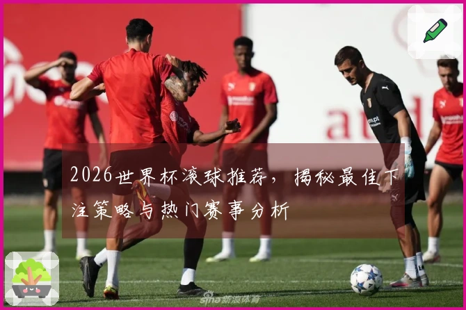 2026世界杯滚球推荐，揭秘最佳下注策略与热门赛事分析