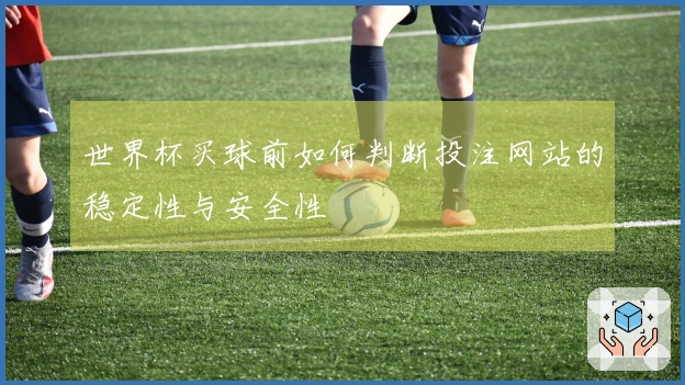世界杯买球前如何判断投注网站的稳定性与安全性