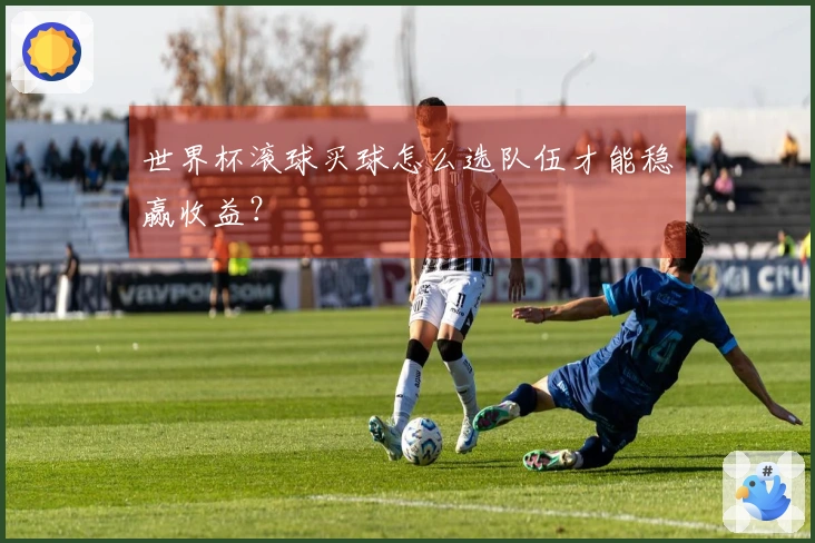 世界杯滚球买球怎么选队伍才能稳赢收益？