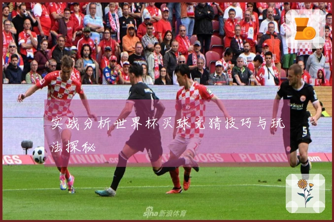 实战分析世界杯买球竞猜技巧与玩法探秘