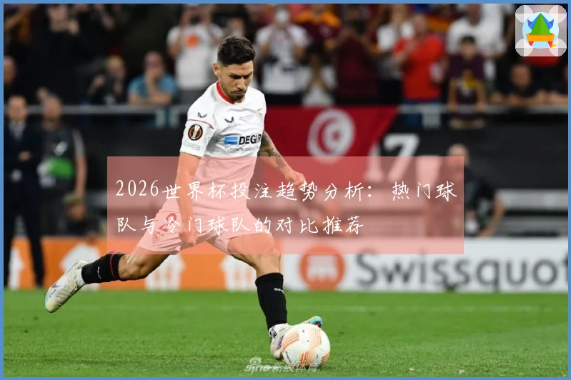 2026世界杯投注趋势分析：热门球队与冷门球队的对比推荐