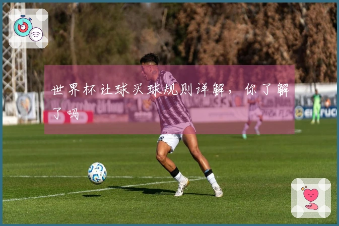 世界杯让球买球规则详解，你了解了吗