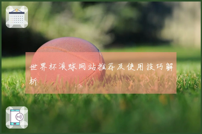 世界杯滚球网站推荐及使用技巧解析