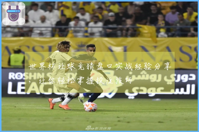 世界杯让球竞猜盘口实战经验分享，让你轻松掌握投注技巧