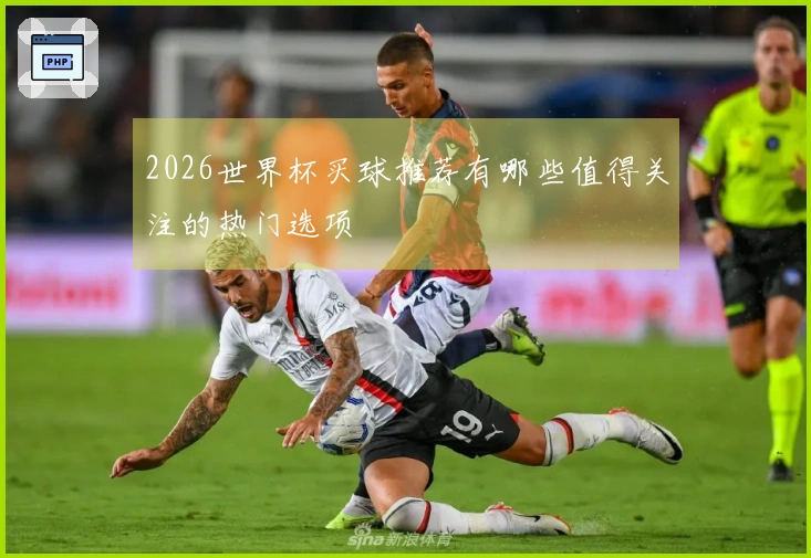 2026世界杯买球推荐有哪些值得关注的热门选项