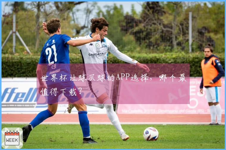 世界杯让球买球的APP选择，哪个最值得下载？