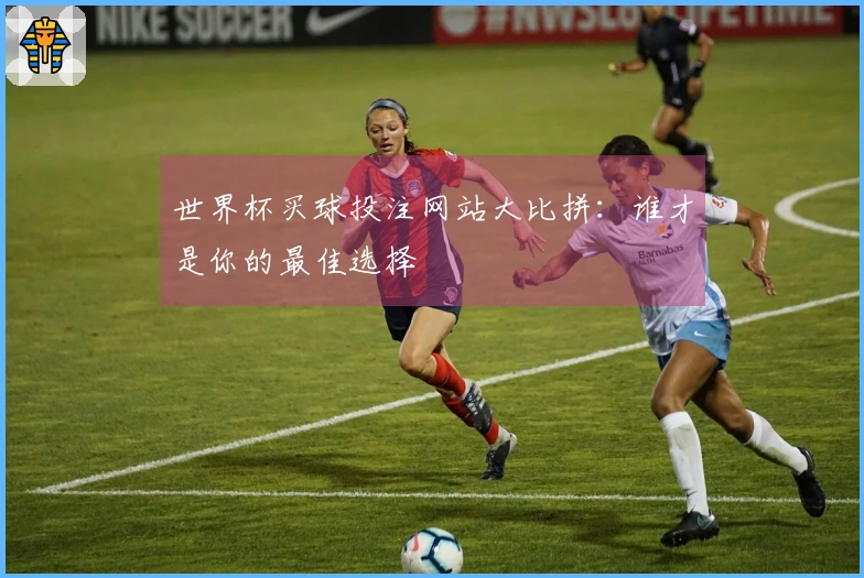 世界杯买球投注网站大比拼：谁才是你的最佳选择