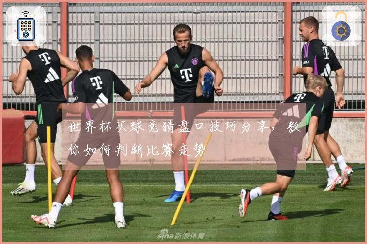 世界杯买球竞猜盘口技巧分享，教你如何判断比赛走势