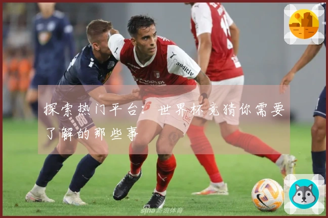 探索热门平台：世界杯竞猜你需要了解的那些事