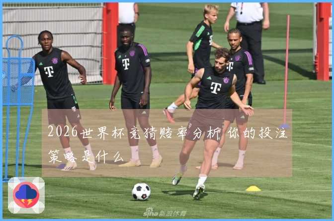 2026世界杯竞猜赔率分析 你的投注策略是什么